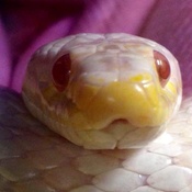 Photo submitted by Terry