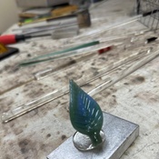 Photo submitted by Barbara