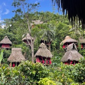 Photo submitted by Alisha