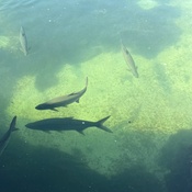 Photo submitted by Dawn