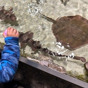 Photo submitted by Alana