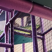 Photo submitted by Suzanne