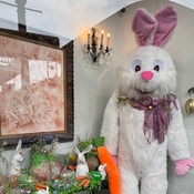 Photo submitted by Alex