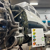 Photo submitted by JoAnna