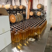 Photo submitted by Nicole