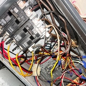 Photo submitted by Thu