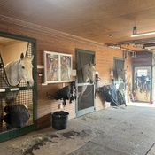 Photo submitted by Sandy