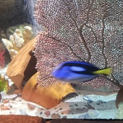 Photo submitted by Ven