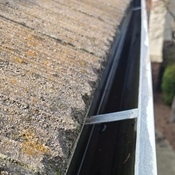 Photo submitted by Joe