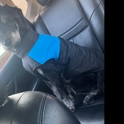 Photo submitted by Shalice