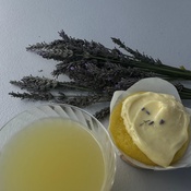 Photo submitted by Lauren