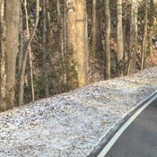 Photo submitted by Nurse