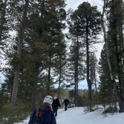 Photo submitted by Julie