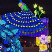 Photo submitted by KJ