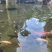 Photo submitted by Christine