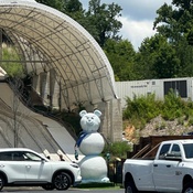 Photo submitted by megan