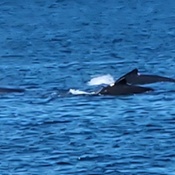 Photo submitted by Guest