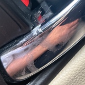 Photo submitted by Noelle