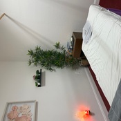 Photo submitted by Tammy