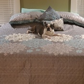 Photo submitted by Stacey