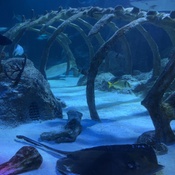 Photo submitted by dhani