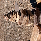 Photo submitted by Charlene