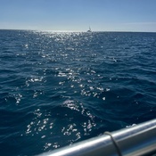 Photo submitted by luna