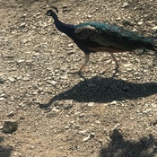 Photo submitted by Gilberto