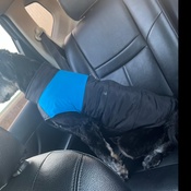 Photo submitted by Shalice