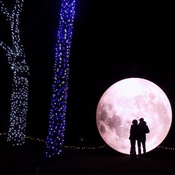 Photo submitted by Jennifer