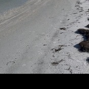 Photo submitted by Ginnie