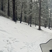 Photo submitted by casandra