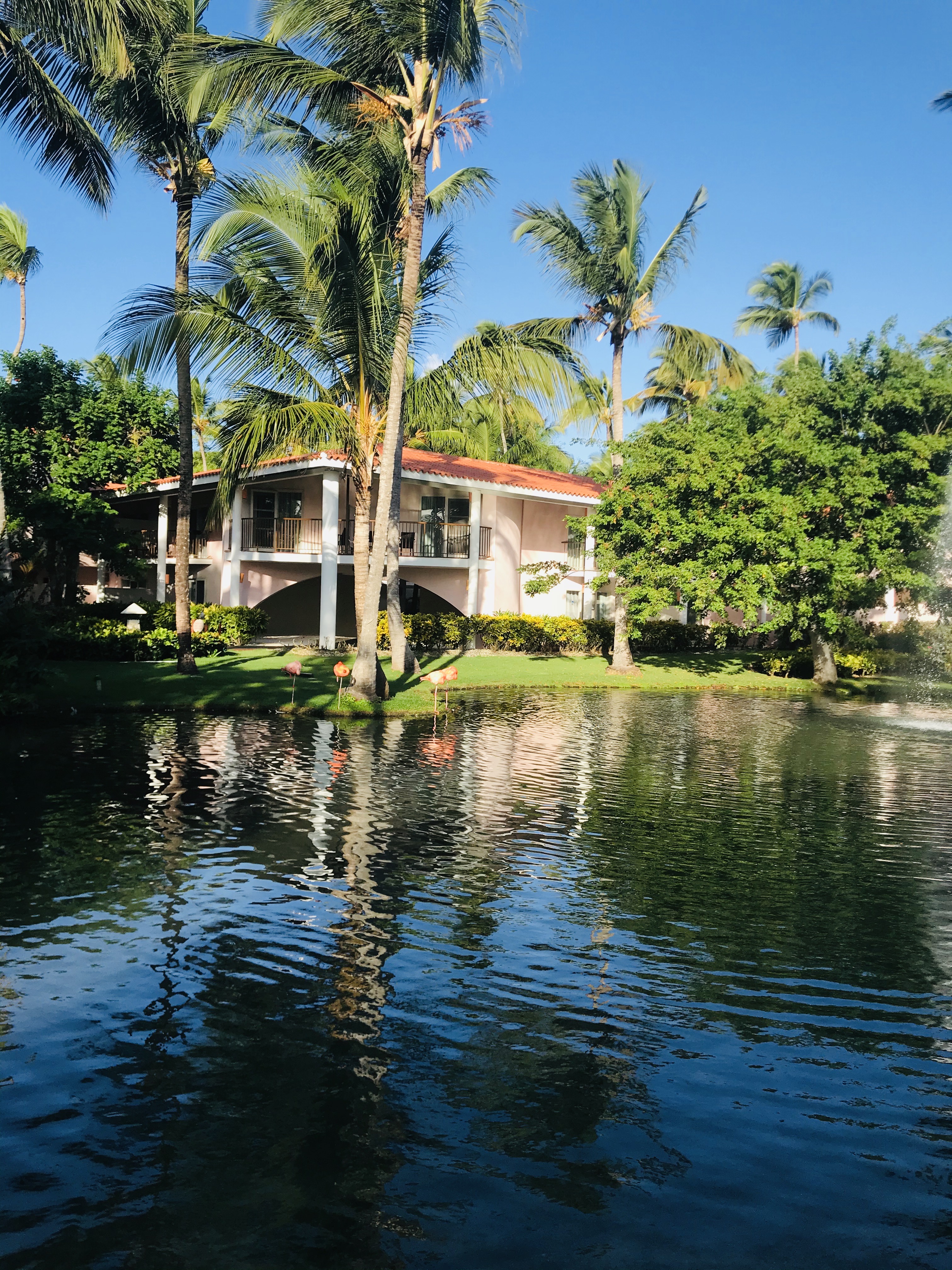 thatch umbrella walmart on All Inclusive Barcelo Aruba Stay With Air From Vacation Express In Noord Aw Groupon Getaways