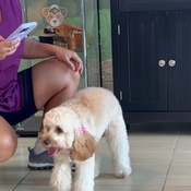 Photo submitted by Nadia