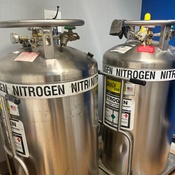 Photo submitted by Rozhan