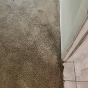 Photo submitted by Shayleen