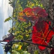 Photo submitted by Faith