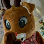 Photo submitted by Holland