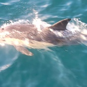 Photo submitted by arul