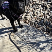 Photo submitted by Tracy