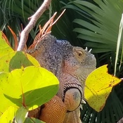 Photo submitted by Shauna