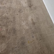 Photo submitted by Shayleen