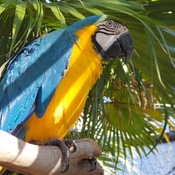 Photo submitted by Shauna