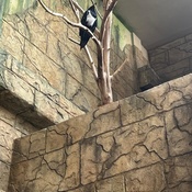 Photo submitted by Princess