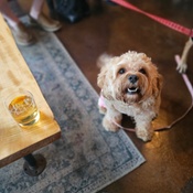 Photo submitted by Laura