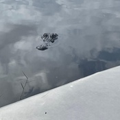 Photo submitted by Solange