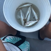 Photo submitted by Leah