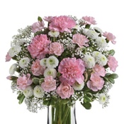 Photo submitted by alicia