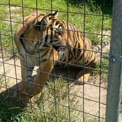 Photo submitted by Jeffrey