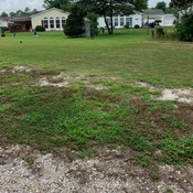 Photo submitted by Kenan